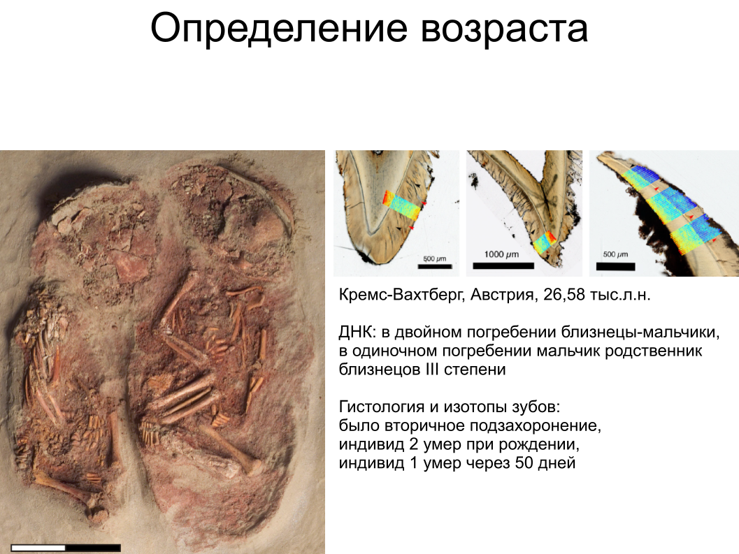 Зубной камень, ДНК вшей и чешуйка крыла моли: как технологии помогают антропологии. Спойлер: ИИ тут бессилен - 13