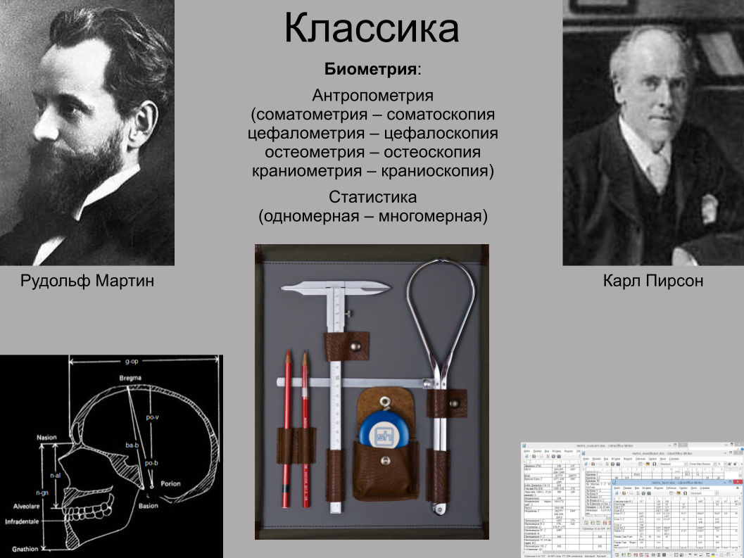 Зубной камень, ДНК вшей и чешуйка крыла моли: как технологии помогают антропологии. Спойлер: ИИ тут бессилен - 2