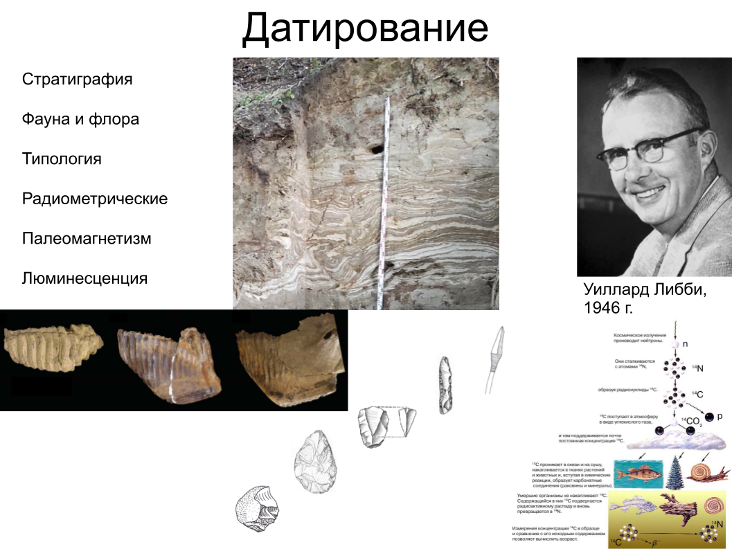 Зубной камень, ДНК вшей и чешуйка крыла моли: как технологии помогают антропологии. Спойлер: ИИ тут бессилен - 3