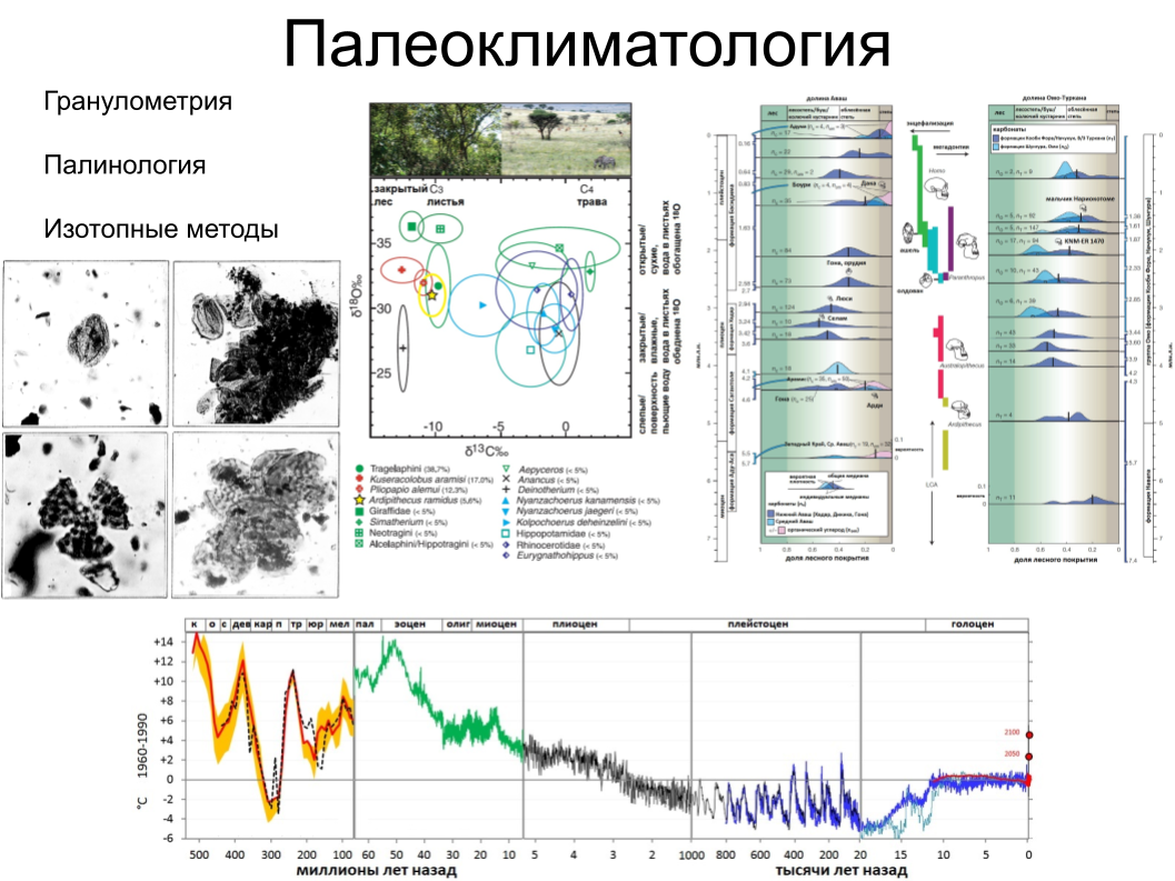 Зубной камень, ДНК вшей и чешуйка крыла моли: как технологии помогают антропологии. Спойлер: ИИ тут бессилен - 4