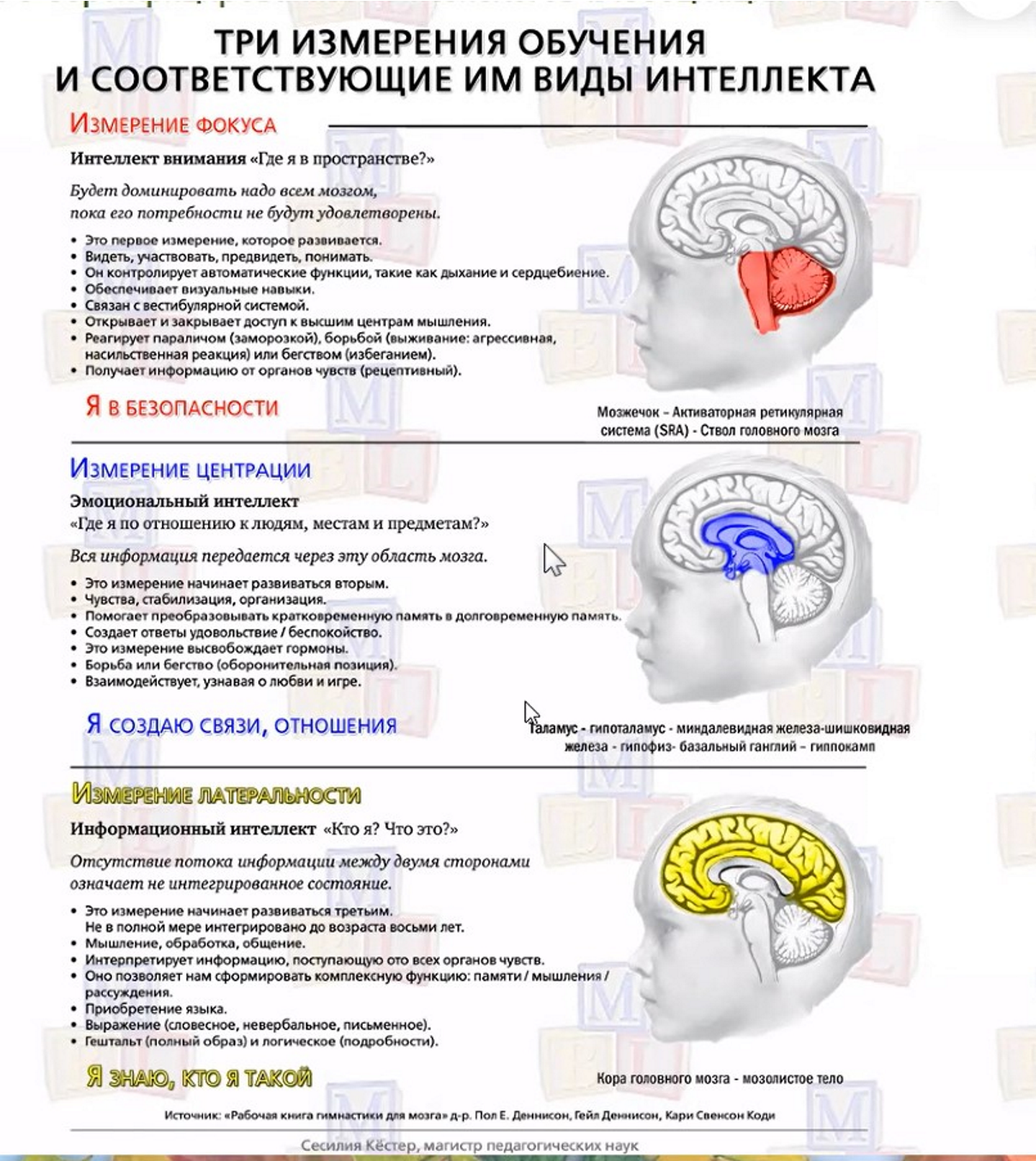 Мышление: как не стать заложником собственного мозга - 2