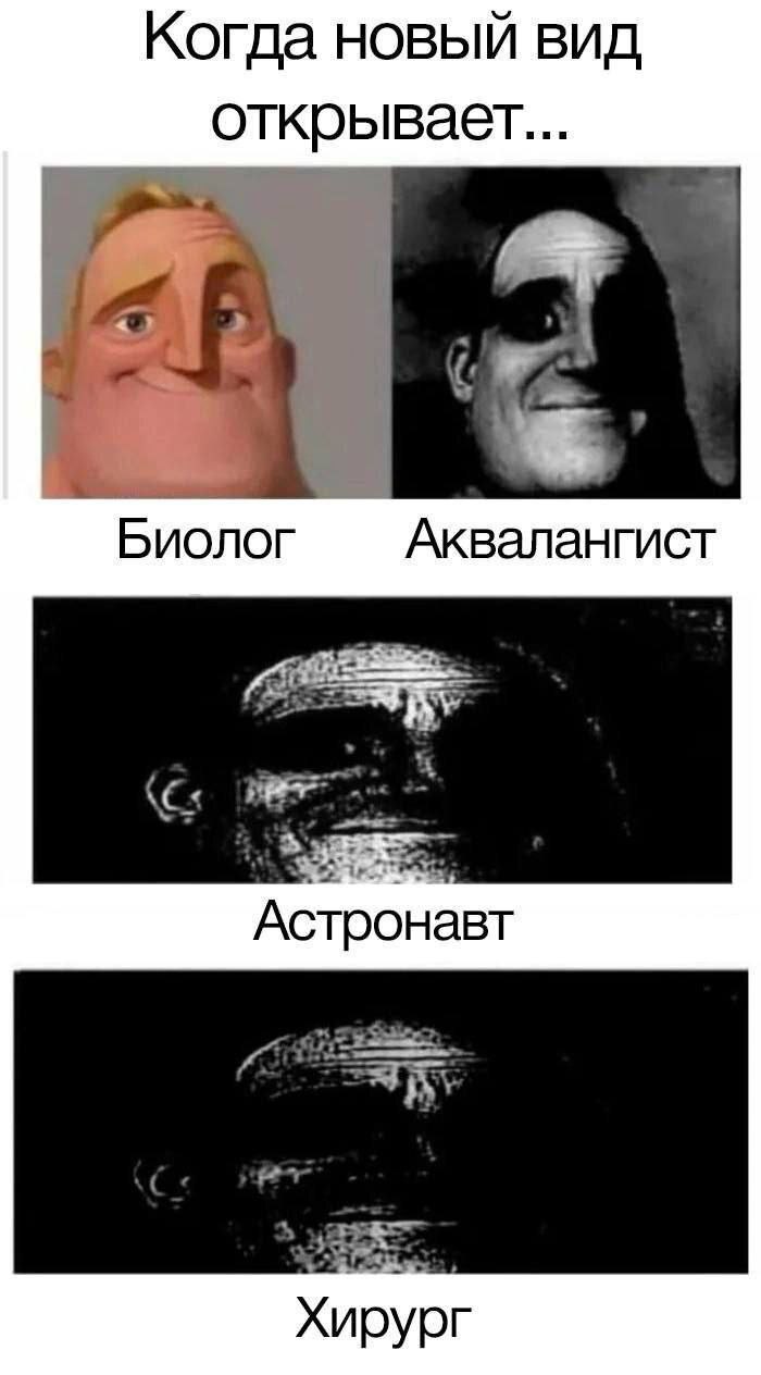 Нейронки (не) плохо понимают юмор - 11