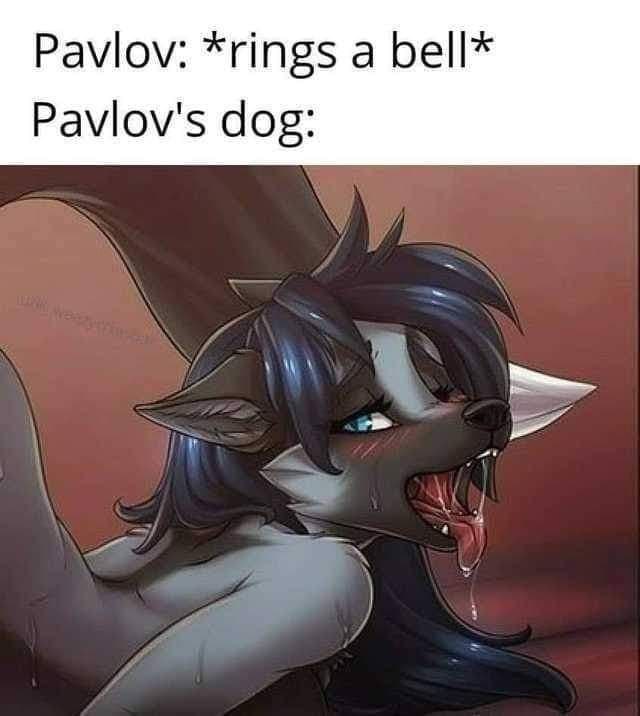 Нейронки (не) плохо понимают юмор - 18