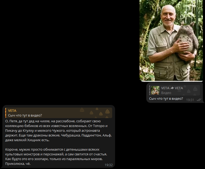 Пример анализа видео