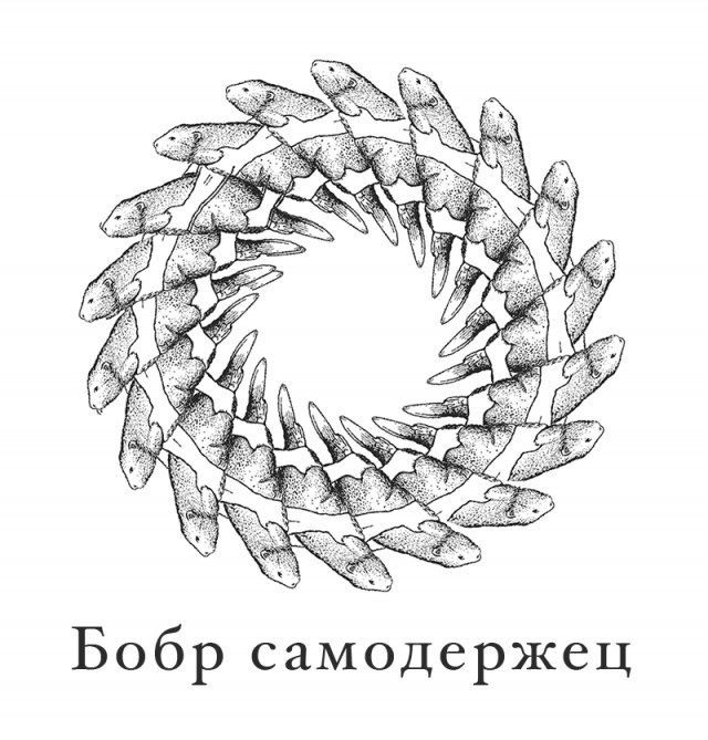 Зацикливающиеся машины Тьюринга не считаются бобрами