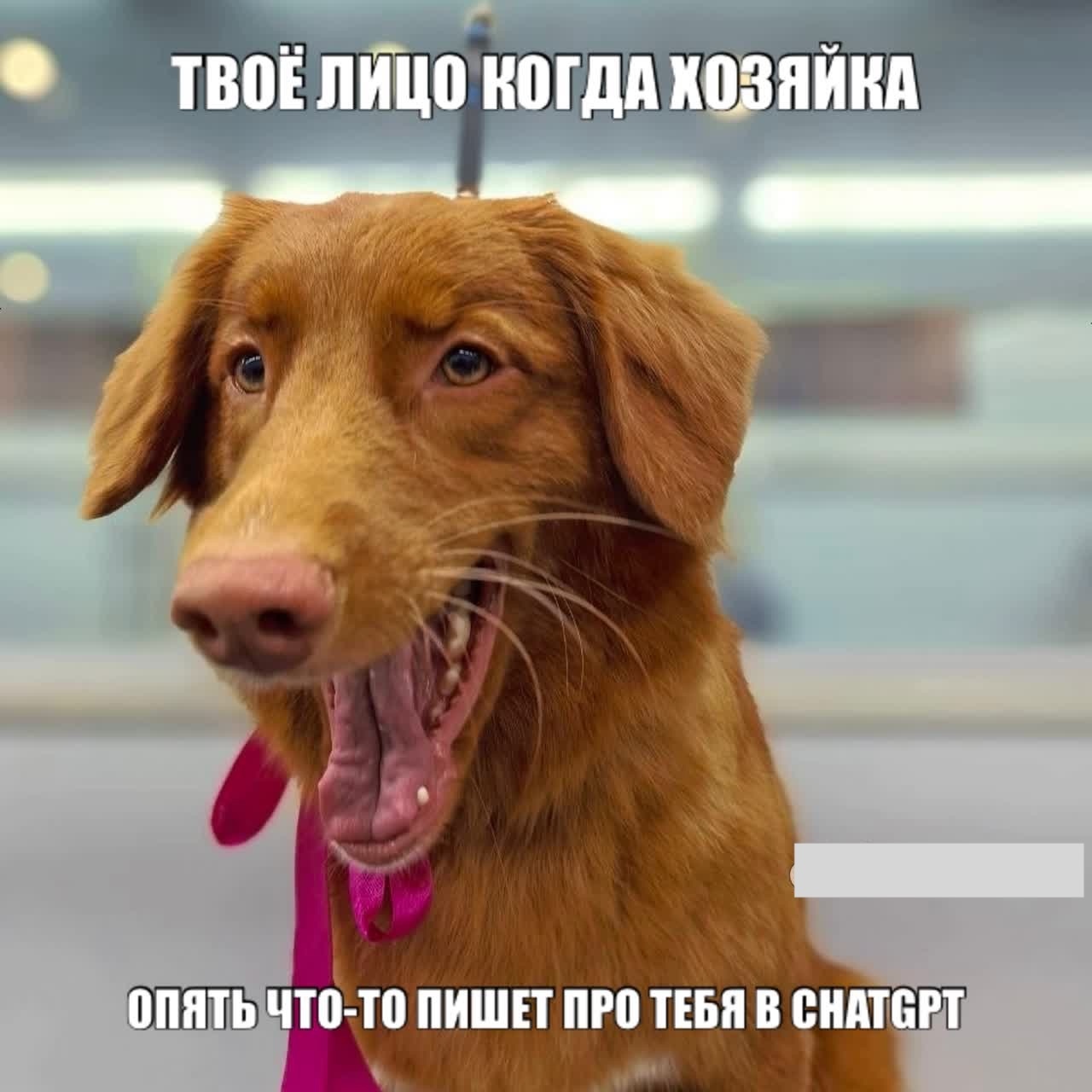 Адвокат дьявола: Почему я люблю ChatGPT - 1