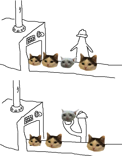 Один котик вышел грустным, почему?