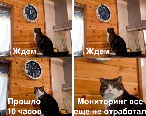 В надежде на быстрый результат