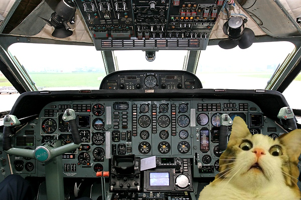 Куда смотреть? А куда жмать?