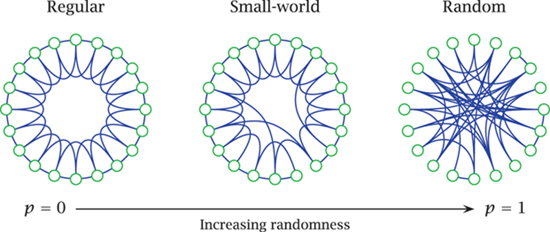 классическая иллюстрация графа малого мира