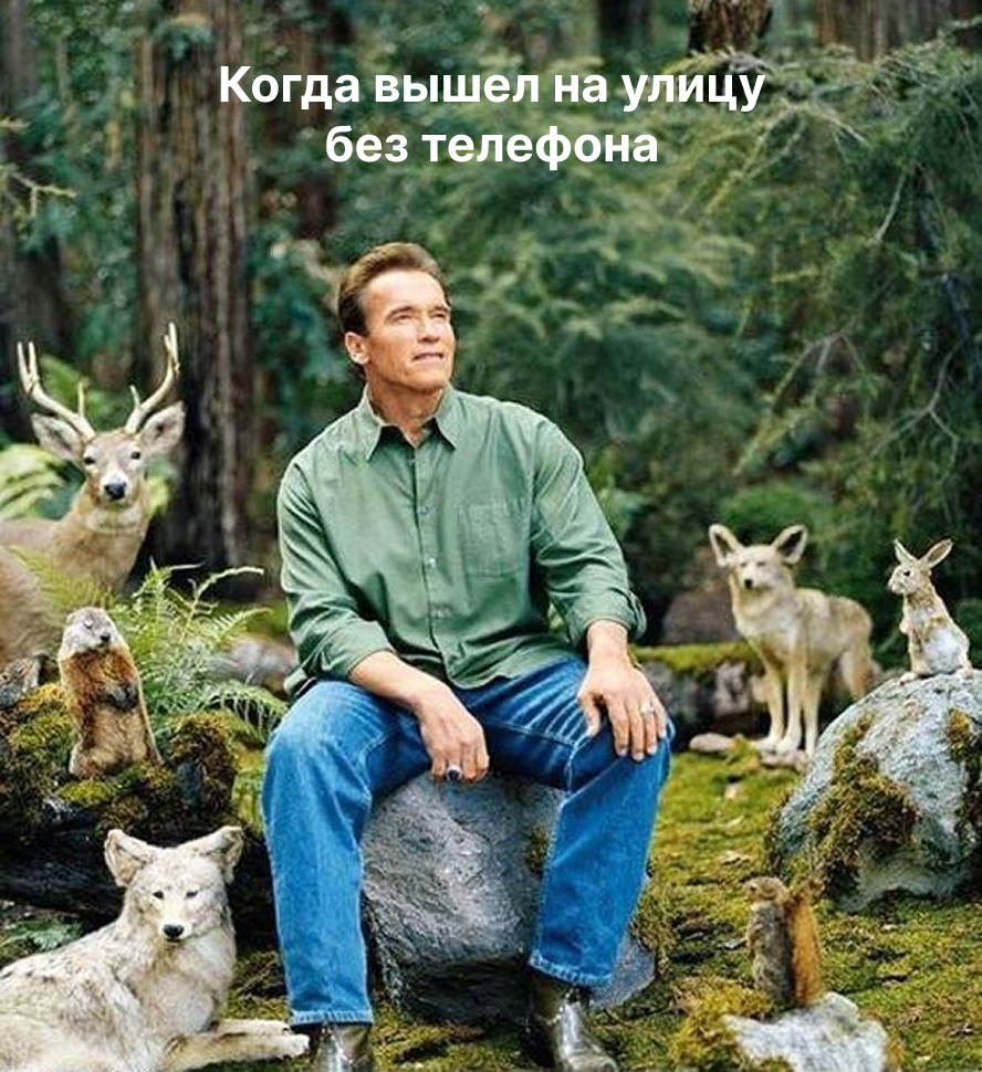 Ваш мозг не выдерживает 2025 год: что известно науке о цифровом детоксе и внимании - 3 Ваш мозг не выдерживает 2025 год: что известно науке о цифровом детоксе и внимании - 3