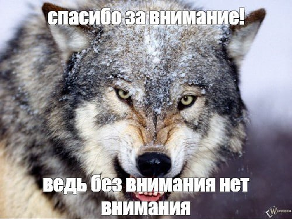 Ваш мозг не выдерживает 2025 год: что известно науке о цифровом детоксе и внимании - 5 Ваш мозг не выдерживает 2025 год: что известно науке о цифровом детоксе и внимании - 5