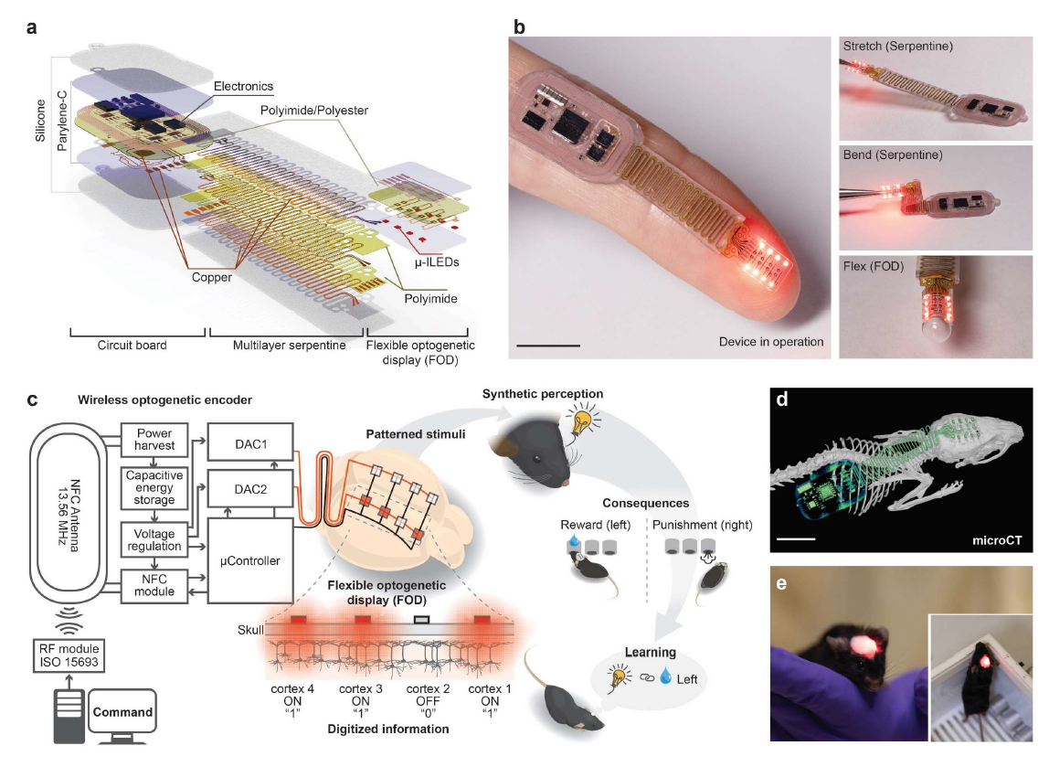 Свет разума: LED-импланты - 2 Свет разума: LED-импланты - 2