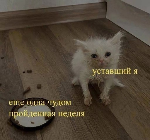 Зачем мы спим? 10 правил сна, которые меняют жизнь - 2 Зачем мы спим? 10 правил сна, которые меняют жизнь - 2