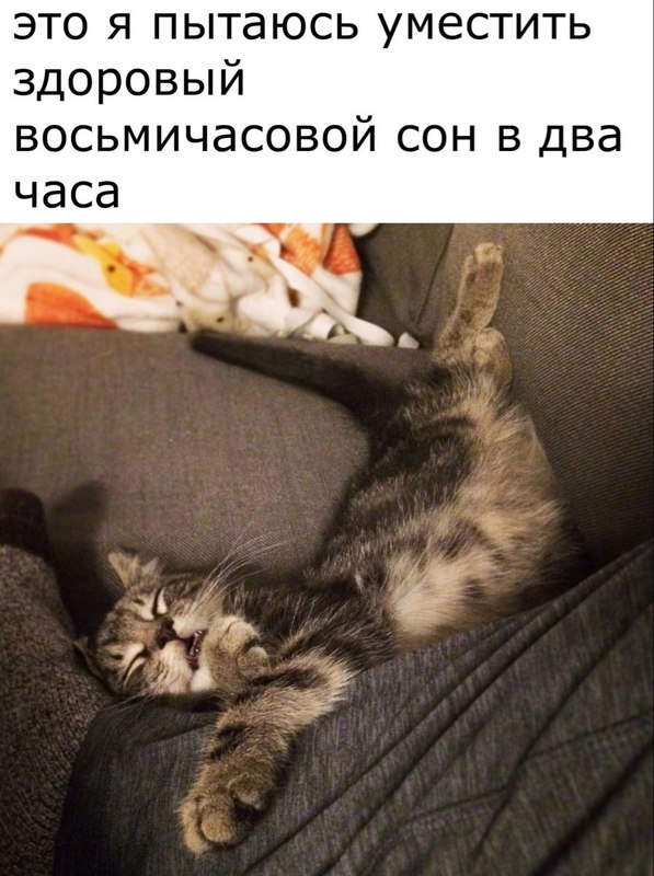 Зачем мы спим? 10 правил сна, которые меняют жизнь - 3 Зачем мы спим? 10 правил сна, которые меняют жизнь - 3