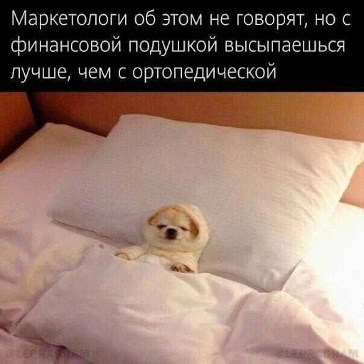 Зачем мы спим? 10 правил сна, которые меняют жизнь - 4 Зачем мы спим? 10 правил сна, которые меняют жизнь - 4