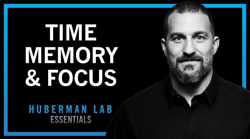 Губерман про внутренние часы: как построить день, чтобы его запомнить - 1 Губерман про внутренние часы: как построить день, чтобы его запомнить - 1