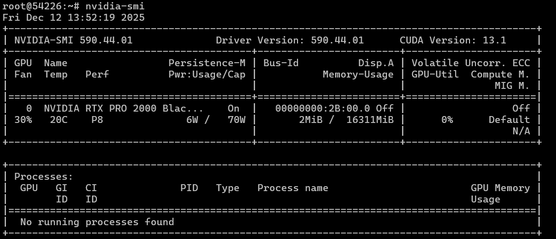 NVIDIA RTX PRO 2000 Blackwell. На что способен «младшенький GPU» нового семейства профессиональных карт NVIDIA - 5 NVIDIA RTX PRO 2000 Blackwell. На что способен «младшенький GPU» нового семейства профессиональных карт NVIDIA - 5