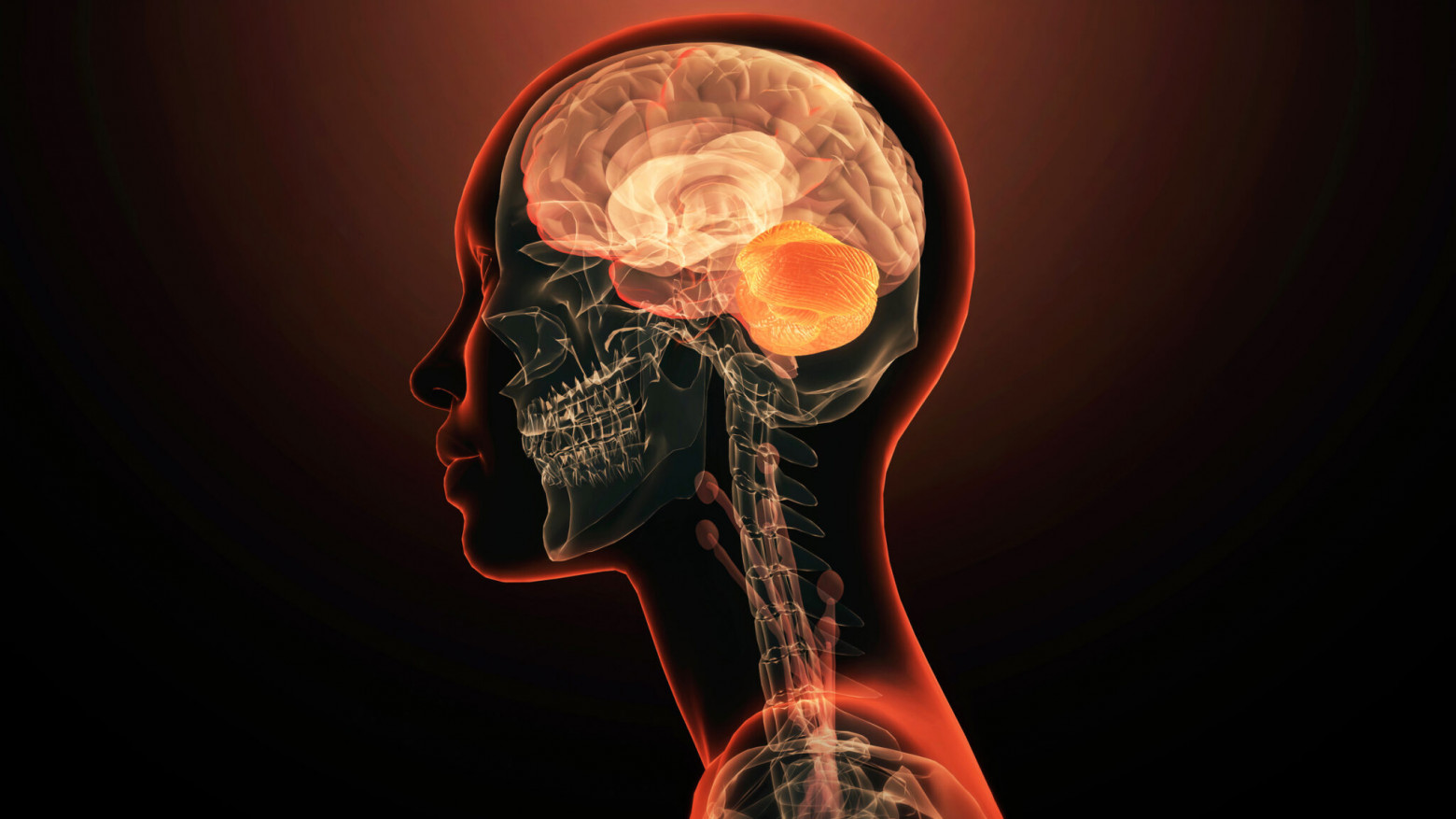 Дайджест новостей про биологию и человека за прошедшую неделю, о которых мы не писали - 5 Дайджест новостей про биологию и человека за прошедшую неделю, о которых мы не писали - 5
