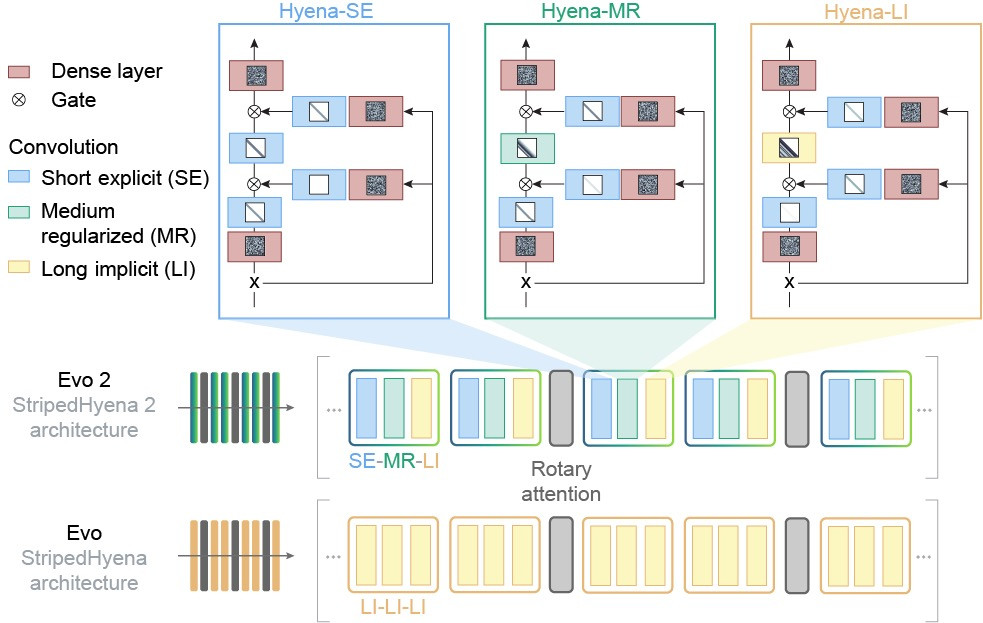 Архитектура моделей Evo и Evo 2. (Взято с developer.nvidia.com)