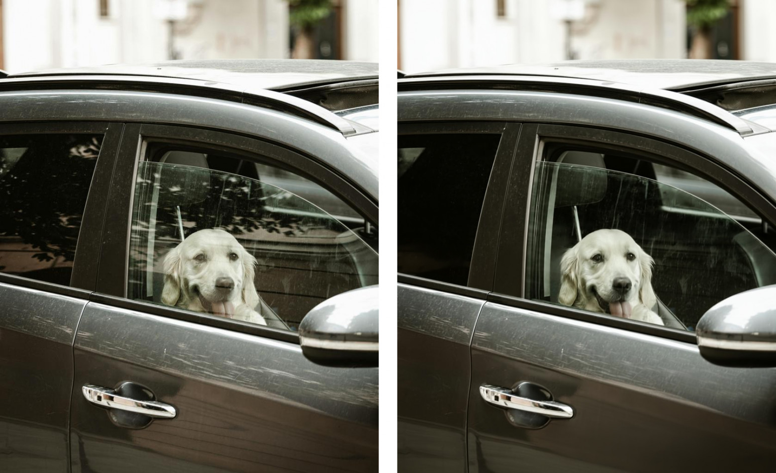 Исследователи Huawei представили WindowSeat — диффузионный трансформер для удаления отражений на фотографиях - 4