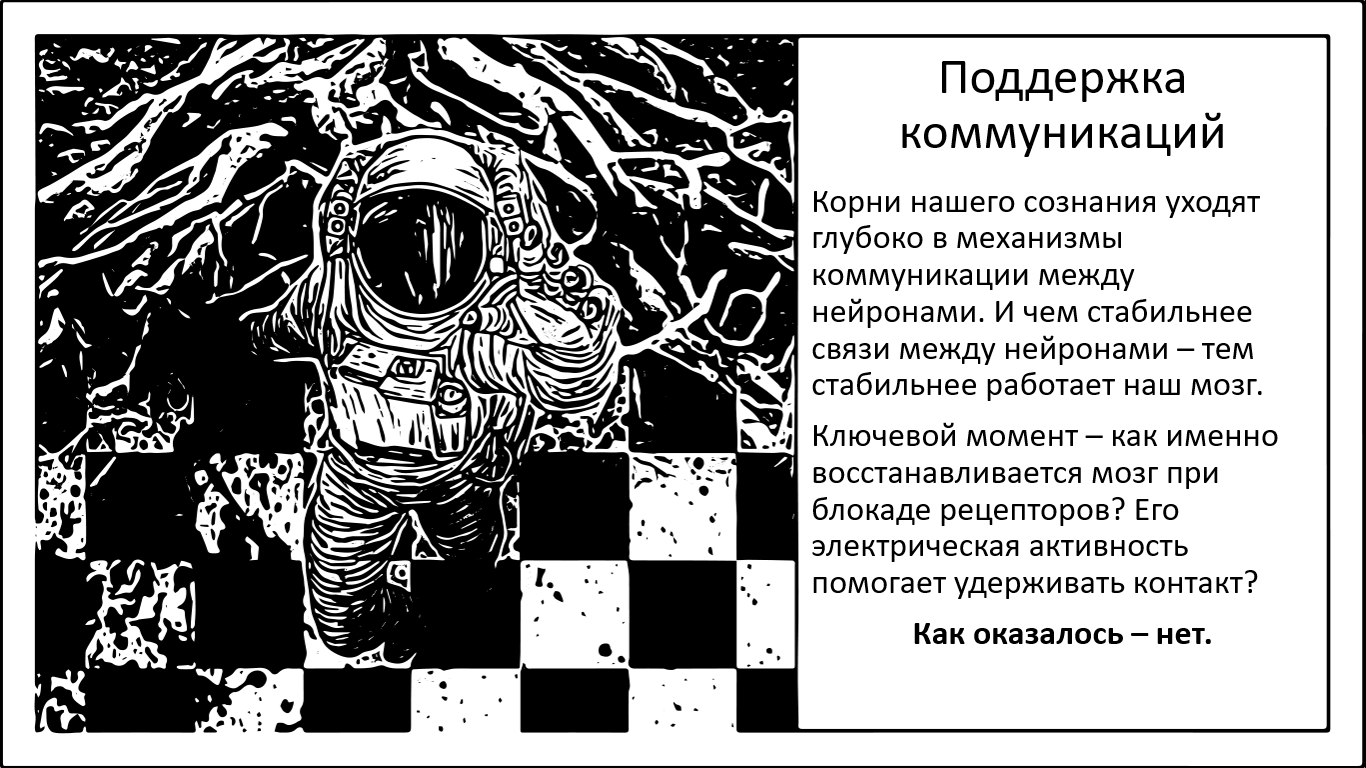 Поддержка нейронных связей - 1 Поддержка нейронных связей - 1