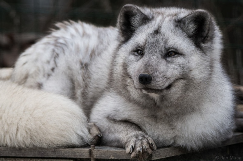 Прогноз на 2026: люди, технологии, ИИ - 1