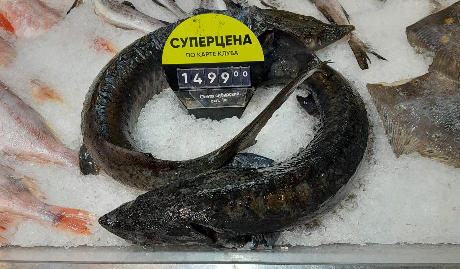 Это искушение! Берём его!