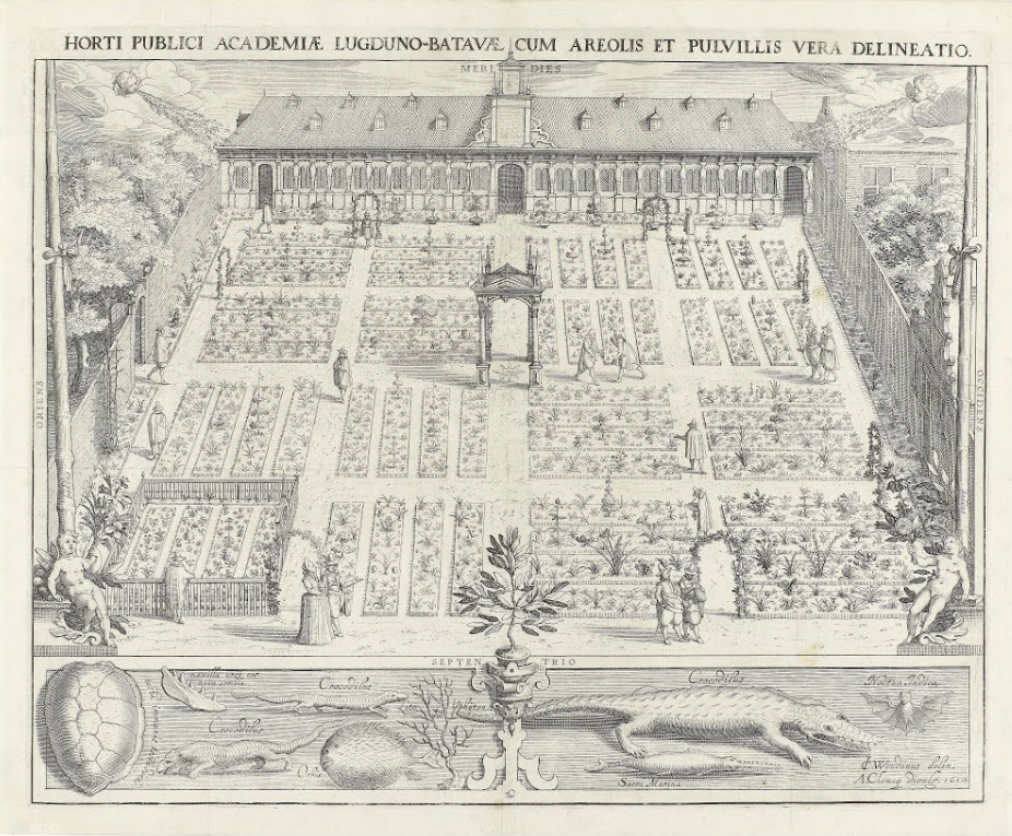 Первый биржевой пузырь - 2