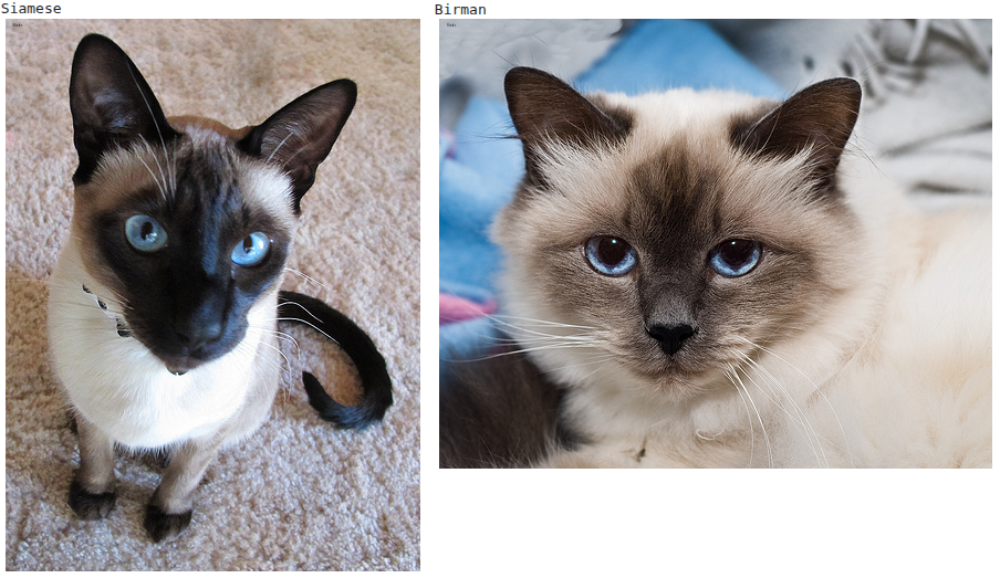 Устранение дисбаланса классов в PyTorch с помощью WeightedRandomSampler - 1