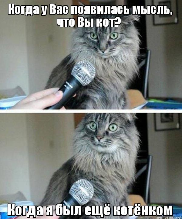 Допустим, ИИ пришел вас автоматизировать. Что будет дальше? - 7 Допустим, ИИ пришел вас автоматизировать. Что будет дальше? - 7