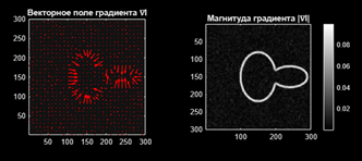 На графике показано векторное поле градиента сглаженного изображения. Каждая стрелка указывает направление и величину наибольшего изменения яркости в данной точке. Это поле определяет потенциальные "склоны", по которым будет двигаться активный контур в поисках границ объекта.  