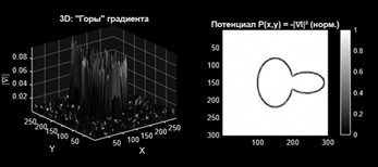 На 3D-графике представлена магнитуда градиента ("горы перепадов") после сглаживания. Высота поверхности соответствует величине изменения яркости (0–0.08 в нормализованных единицах). Наиболее выраженные пики (≈0.06–0.08) соответствуют границам чашки и её ручки, где наблюдаются резкие переходы интенсивности.  
