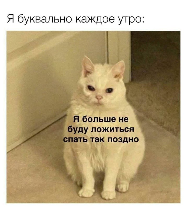 Цена недосыпа: от простуды до деменции — что уже доказано - 4