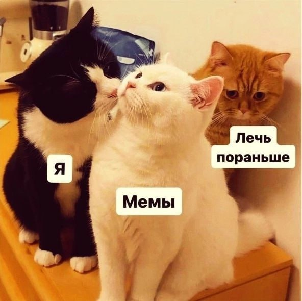 Цена недосыпа: от простуды до деменции — что уже доказано - 5