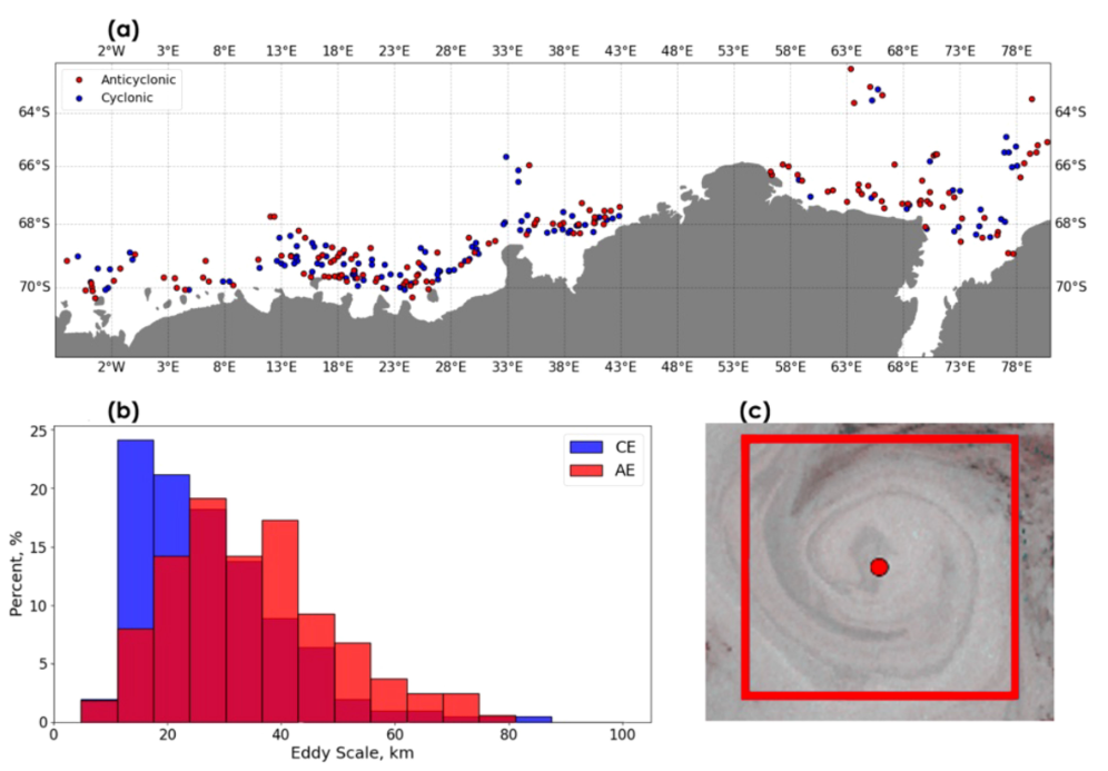Статистический портрет антарктических вихрей. (a) Карта географического расположения циклонических (синий) и антициклонических (красный) вихрей, использованных для обучения модели. (b) Распределение вихрей по размерам, показывающее доминирование малых циклонов и крупных антициклонов. (c) Пример антициклонического вихря на спутниковом снимке с отмеченным центром. Источник: Frontiers in Marine Science  