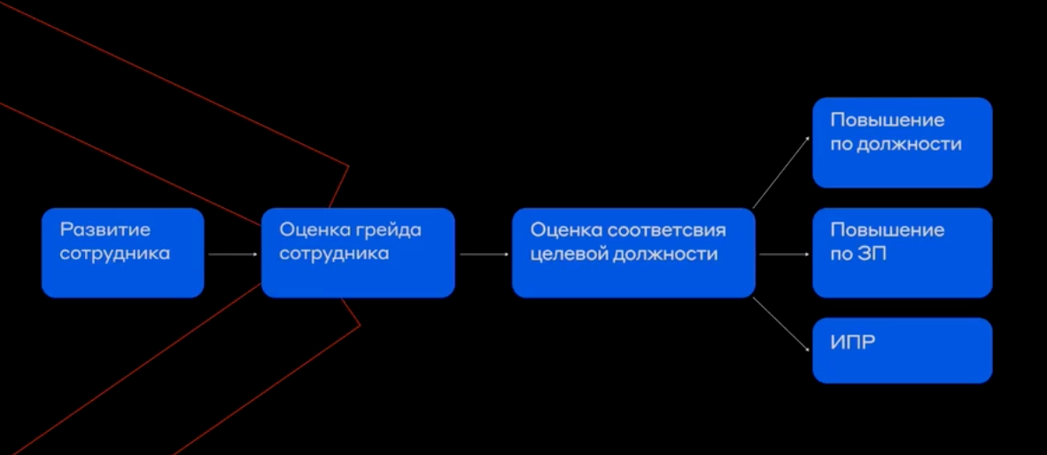 Этапы развития и оценки сотрудника