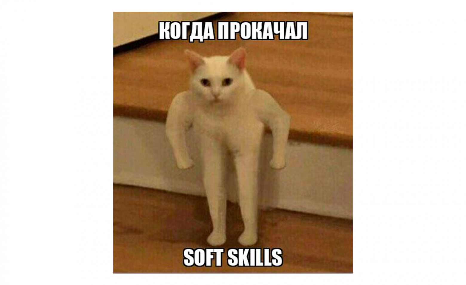 Как найти работу джуну, когда джуны никому не нужны - 3