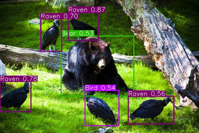 Обучаем ML-модели и запускаем batch-инференс на YTsaurus, как в Яндексе - 19