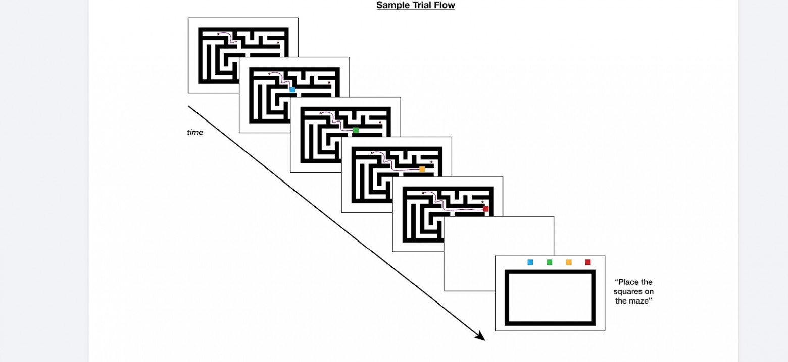 Петля Зейгарник: Когнитивная архитектура незавершенности и биологическая цена «хвостов» - 1