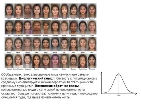 Золотое сечение – универсальная формула красоты и вселенской гармонии или маркетинговая уловка? - 29