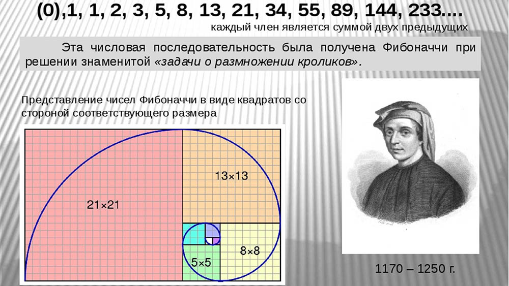 Золотое сечение – универсальная формула красоты и вселенской гармонии или маркетинговая уловка? - 4