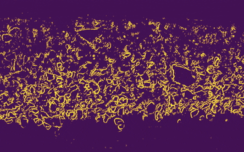 Контуры/границы выделенных фрагментов