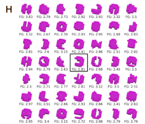 Ксеноботы: живой клеточный автомат или колония пакманов - 9 Ксеноботы: живой клеточный автомат или колония пакманов - 9