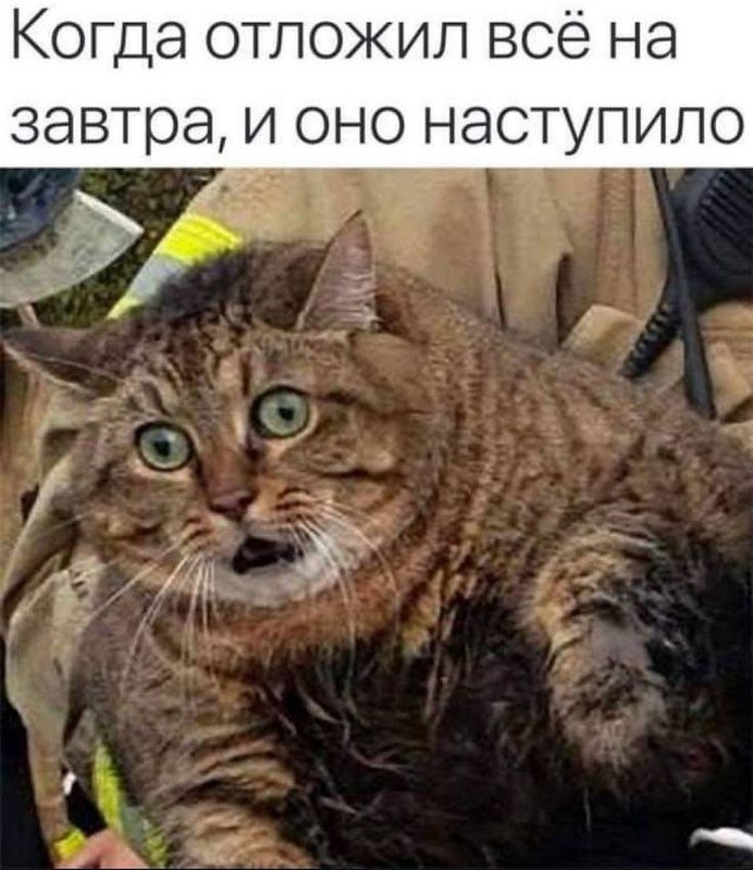 Не ставь цели — строй системы. Обучение, работа и системы для мониторинга - 3