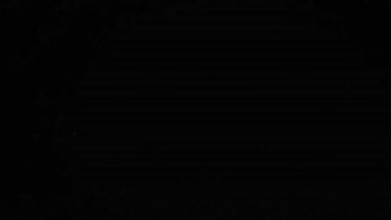  Пример результата, полученного с использованием признаков Харалика 