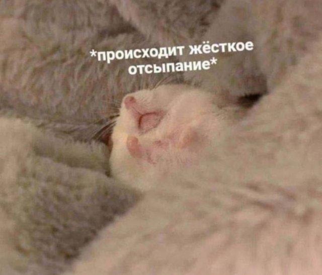 От «Мистера Робота» до «Разделения»: подборка сериалов на новогодние каникулы, чтобы отвлечься от бэклога - 1