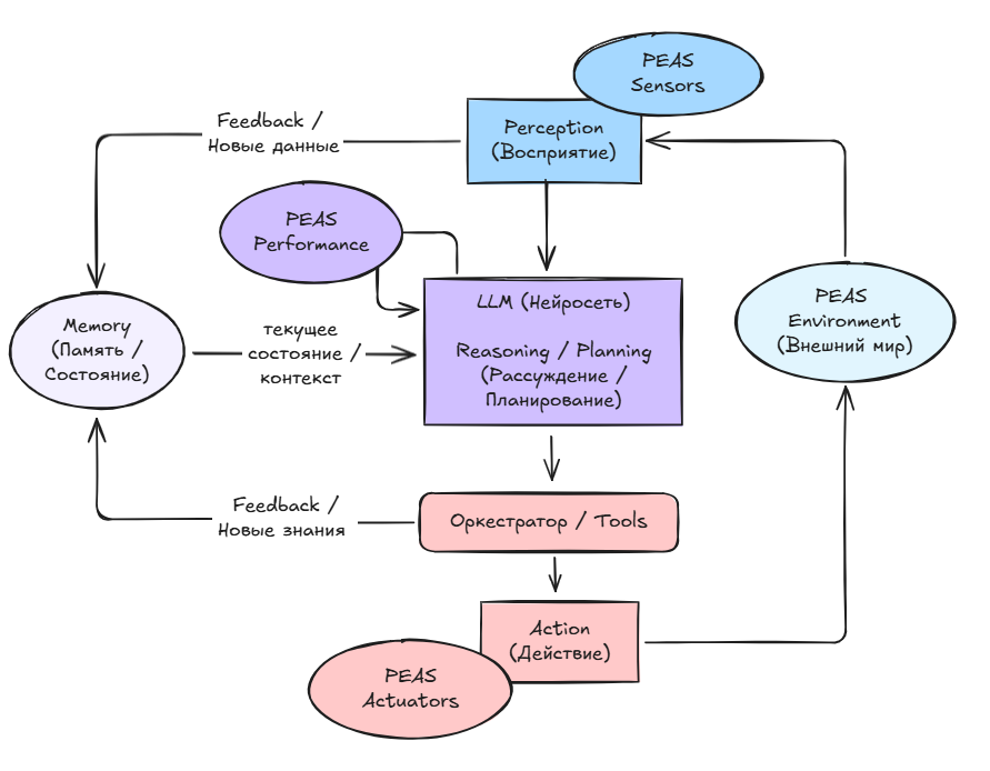 Объединение концепции цикла работы и PEAS