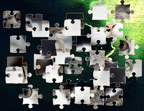 Рисунок 1. Вы видите здесь кошку ? CNN после всех  трансформаций и сокращений в лучшем случае "увидит" кошачьи глаза под кошачьим носом. CNN не умеет перемещать фрагменты изображения.