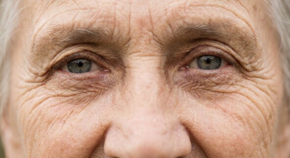 Как создавать трендовые изображения и картинки с помощью Nano Banana: трендовые промпты в 2025-2026 году